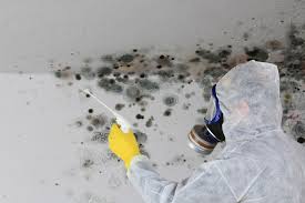 Best Residential Mold Inspection & Testing  in Hannahs Mill, GA